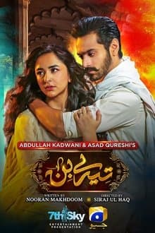 Tere Bin (2022)