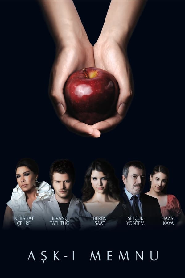  Ishq e Mamnu (2008)   